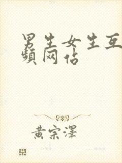 男生女生互操视频网站