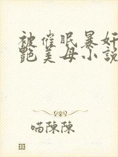 被催眠暴奸的冷艳美母小说