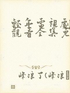 轻年电视剧在线观看全集免费高清