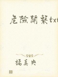 危险关系txt封面