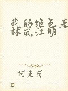 我的绝色老板娘林岚江明封面