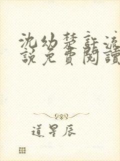 沈幼楚许流年小说免费阅读最新章节