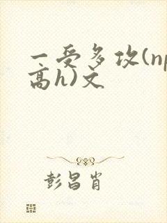 一受多攻(np高h)文