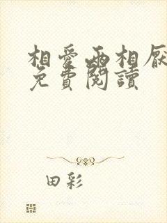 相爱两相厌小说免费阅读