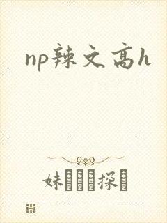 np辣文高h