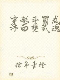 穿越斗罗成为戴沐白双武魂的小说