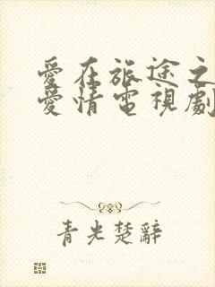 爱在旅途之反转爱情电视剧在线