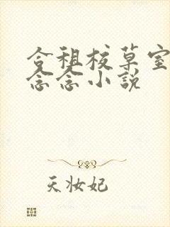 合租校草室友丁念念小说封面