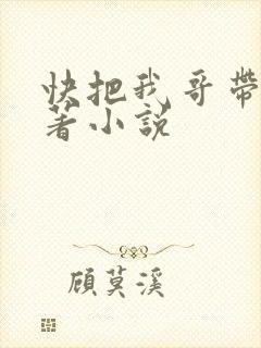 快把我哥带走原著小说