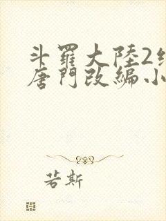 斗罗大陆2绝世唐门改编小说