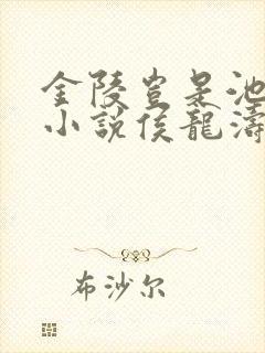 金陵岂是池中物小说侯龙涛