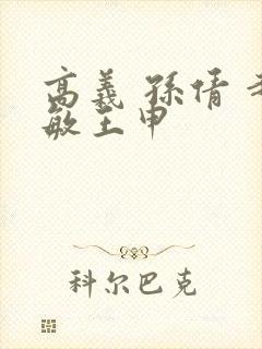 高义 孙倩 赵敏王申封面