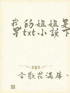 我的姐姐是大明星txt小说下载