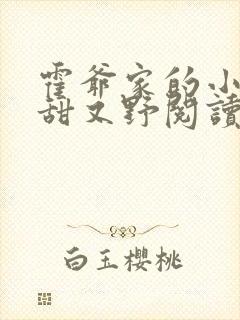 霍爷家的小祖宗甜又野阅读阅读全文