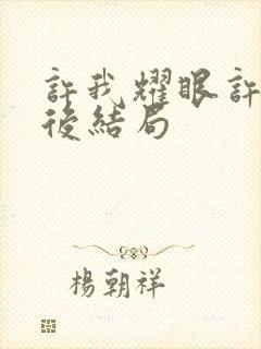 许我耀眼许妍最后结局封面