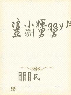 浪小辉gay片亚洲男男