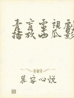 青盲电视剧免费播放西瓜影院