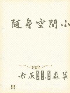 随身空间小说封面