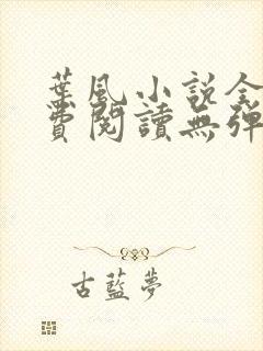 叶风小说全文免费阅读无弹窗