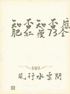 知否知否应是绿肥红瘦73全集免费观看