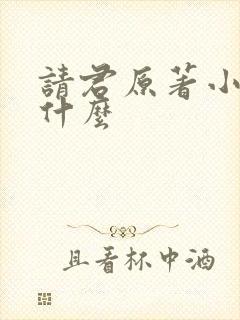 请君原著小说叫什么封面