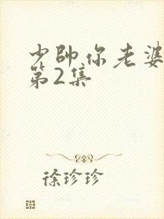 少帅你老婆又跑第2集封面