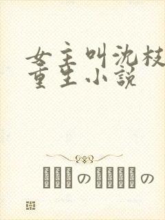 女主叫沈枝意的重生小说