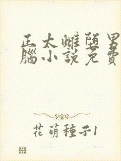 正太雌堕男娘洗脑小说免费阅读封面