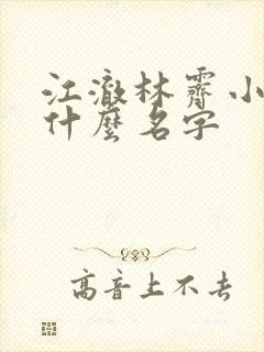 江澈林霁小说叫什么名字