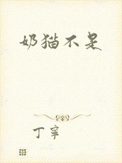 奶猫不是封面