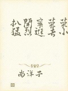 扒开宁荣荣裆部猛烈进去小说