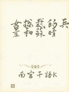 女总裁的兵王萧晨和苏晴