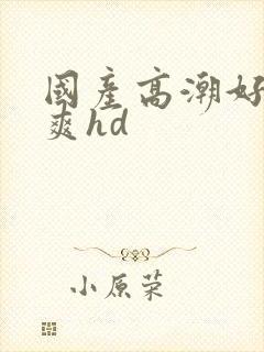 国产高潮好紧好爽hd