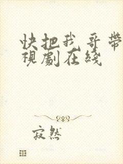 快把我哥带走电视剧在线封面
