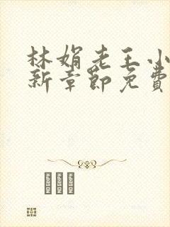 林娟老王小说最新章节免费阅读