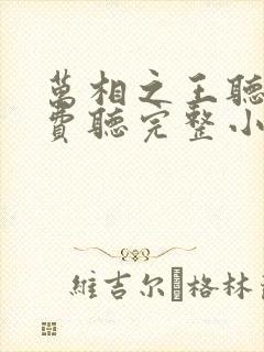 万相之王听书免费听完整小说