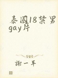 泰国18禁男男gay片