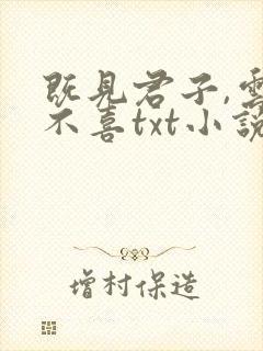 既见君子,云胡不喜txt小说