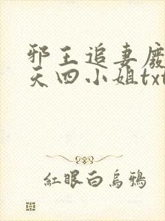 邪王追妻废材逆天四小姐txt下载