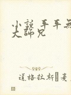 小说 平平无奇大师兄封面