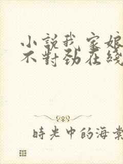 小说我家娘子,不对劲在线阅读