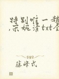 特别唯一赵振国,宋婉清txt全文下载