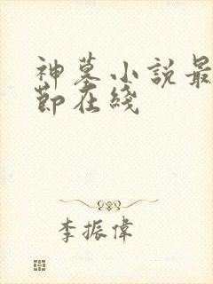 神墓小说最新章节在线