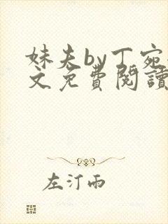 妹夫by丁宛全文免费阅读笔趣阁封面