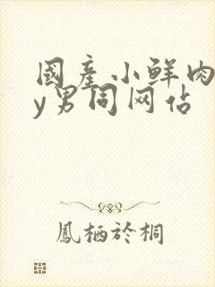 国产小鲜肉gay男同网站