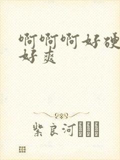 啊啊啊好硬好大好爽