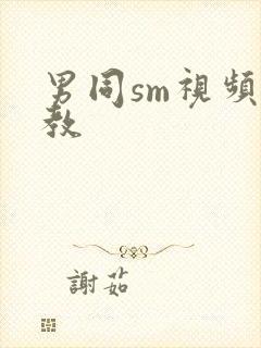 男同sm视频调教