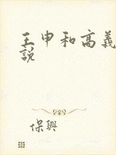 王申和高义的小说