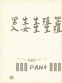 男生生殖器官插入女生生殖器官软件