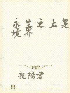 永生之上是什么境界